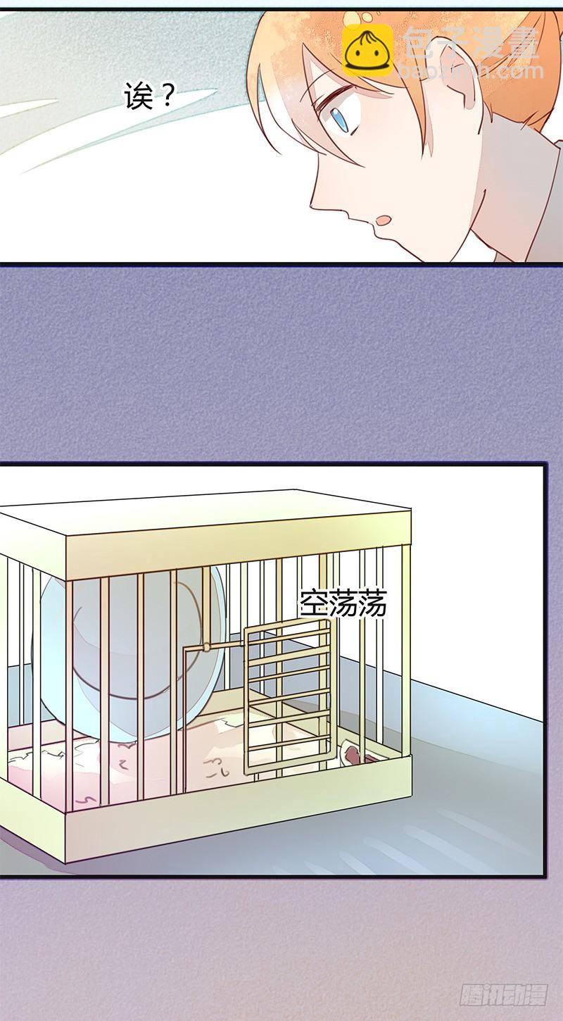 小灰灰&hellip;&hellip;丢了？-第13话