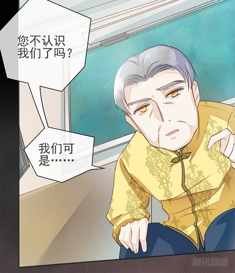 长老会，一个神奇的地方-第29话