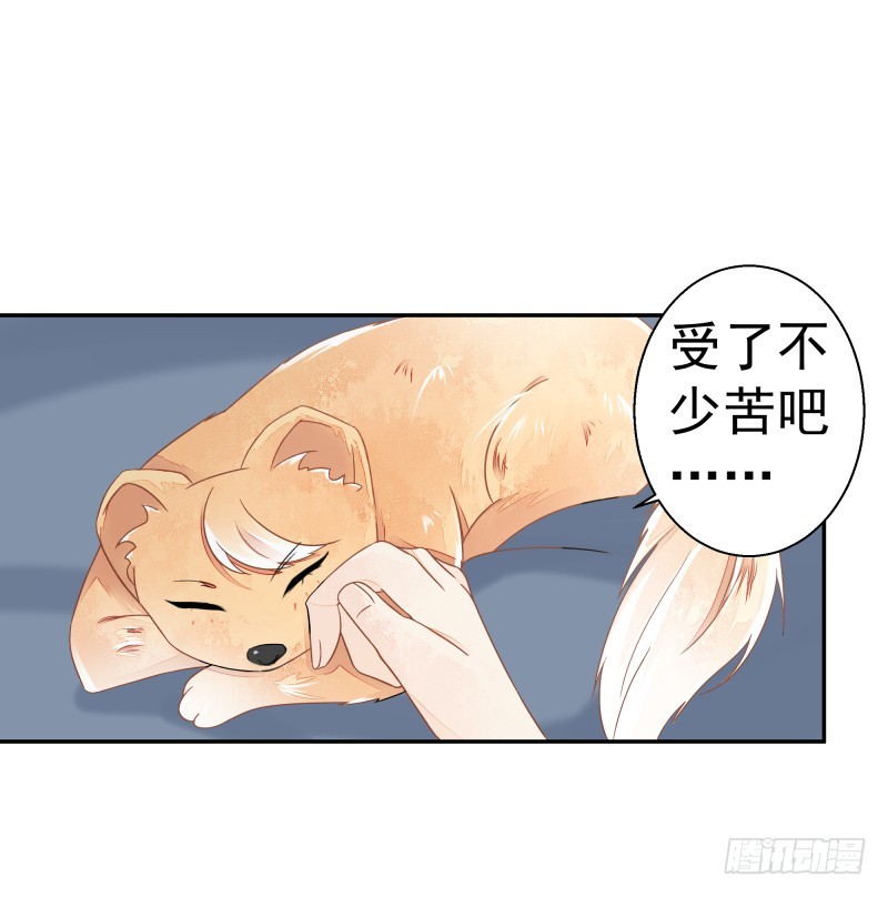 建国的身世-第71话