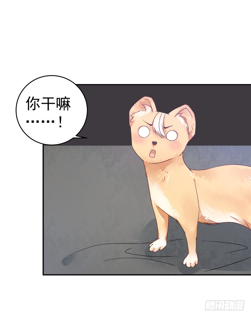 商议(1/2)-第73话