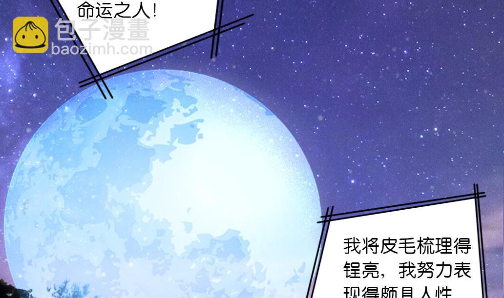 第29话 肉包的前世今生 2(1/2)-第29话