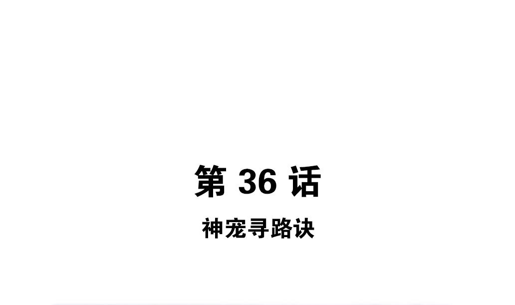 第37话 神宠寻路诀-第37话