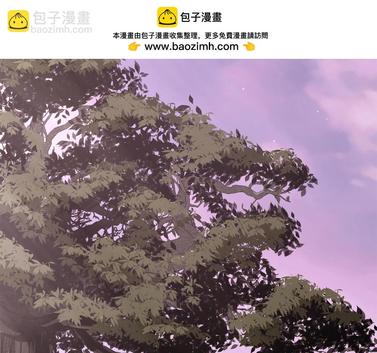 🍼登录武林系统 第141话 绿色飞龙 第2页