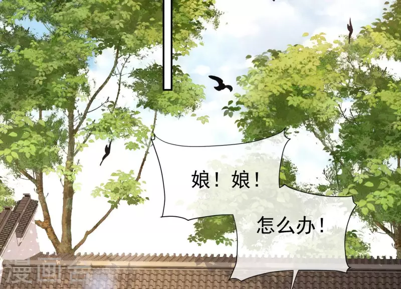 第7话 一曲凤求凰(1/2)-第7话