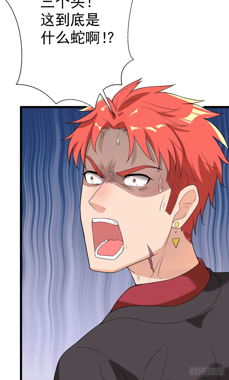 第66话-第67话