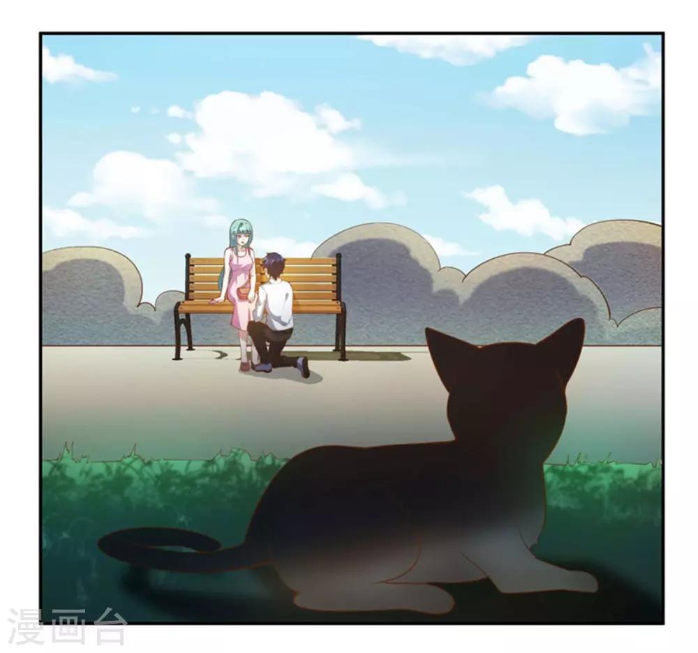 第24话 厄运猫咪-第25话