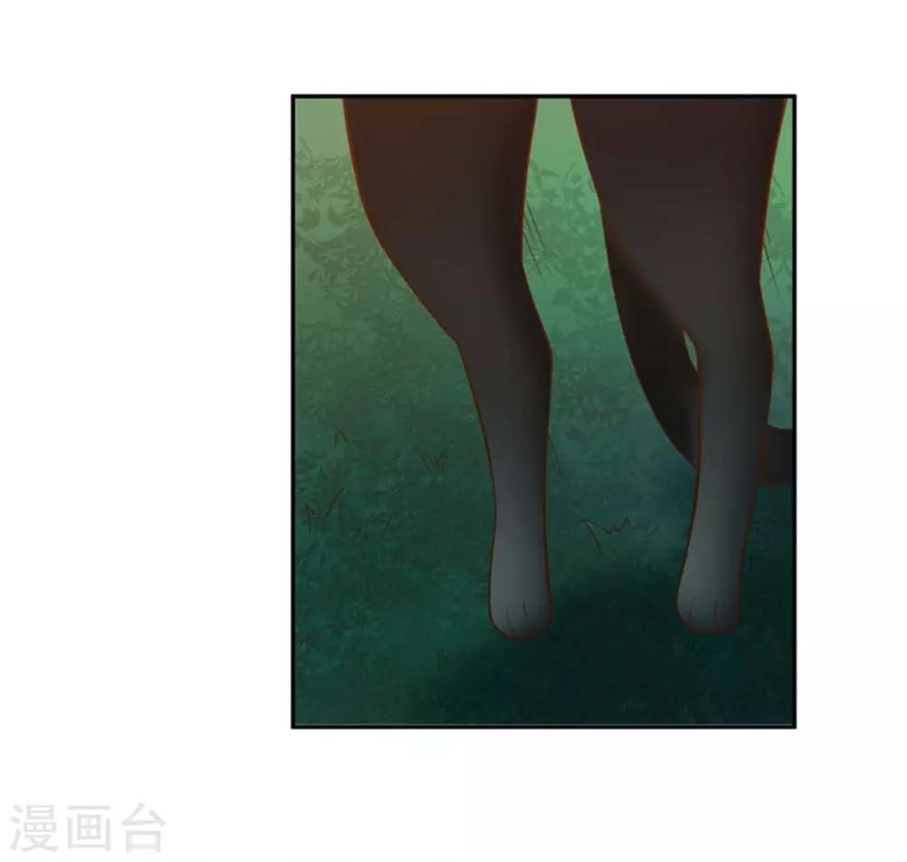第24话 厄运猫咪-第25话
