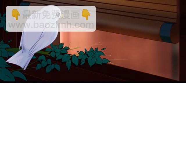 第29话 &ldquo;宣王妃&rdquo;，有喜啦！(1/2)-第33话