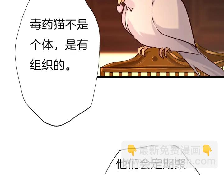 第64话 狐狸的策略(1/2)-第71话