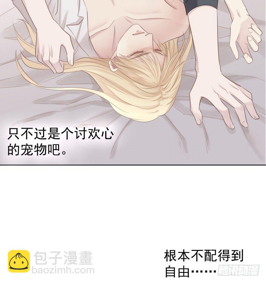 皮(1/2)-第13话