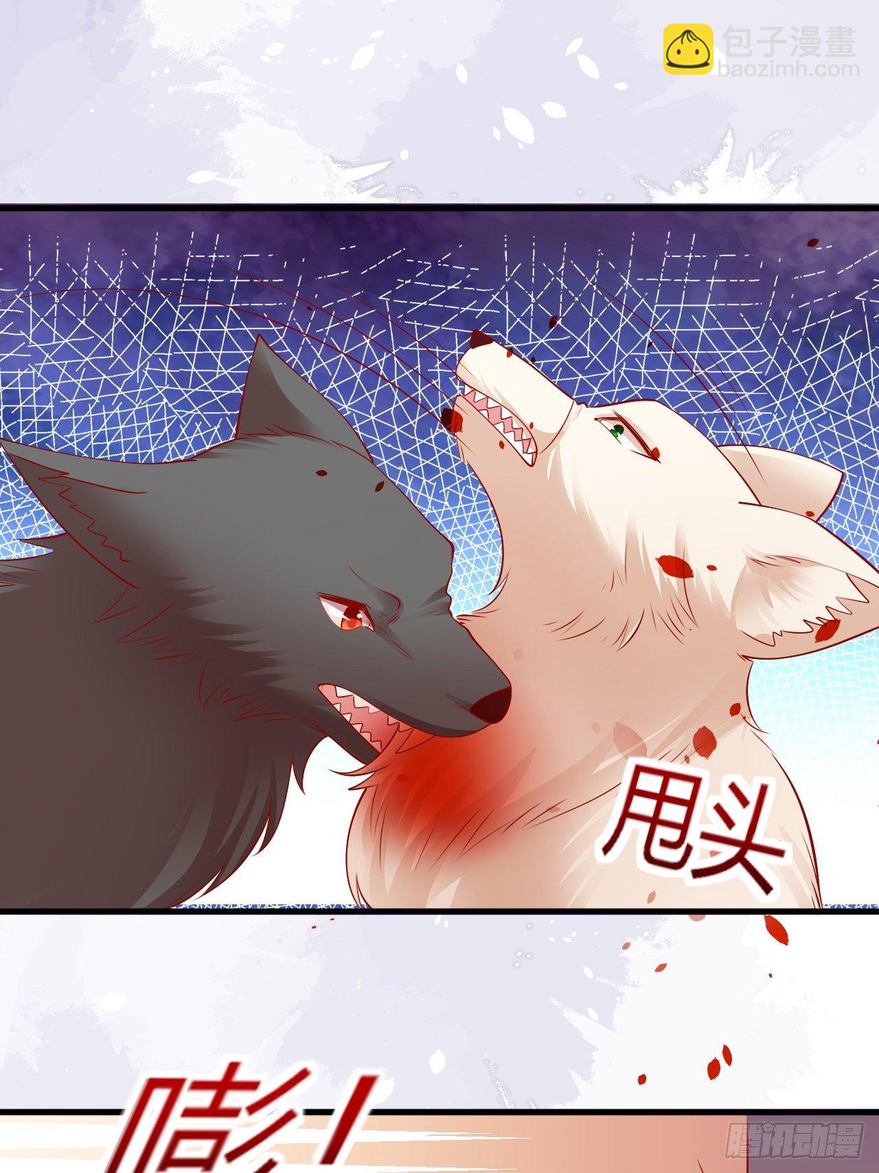 34 狐狼之争(1/2)-第35话