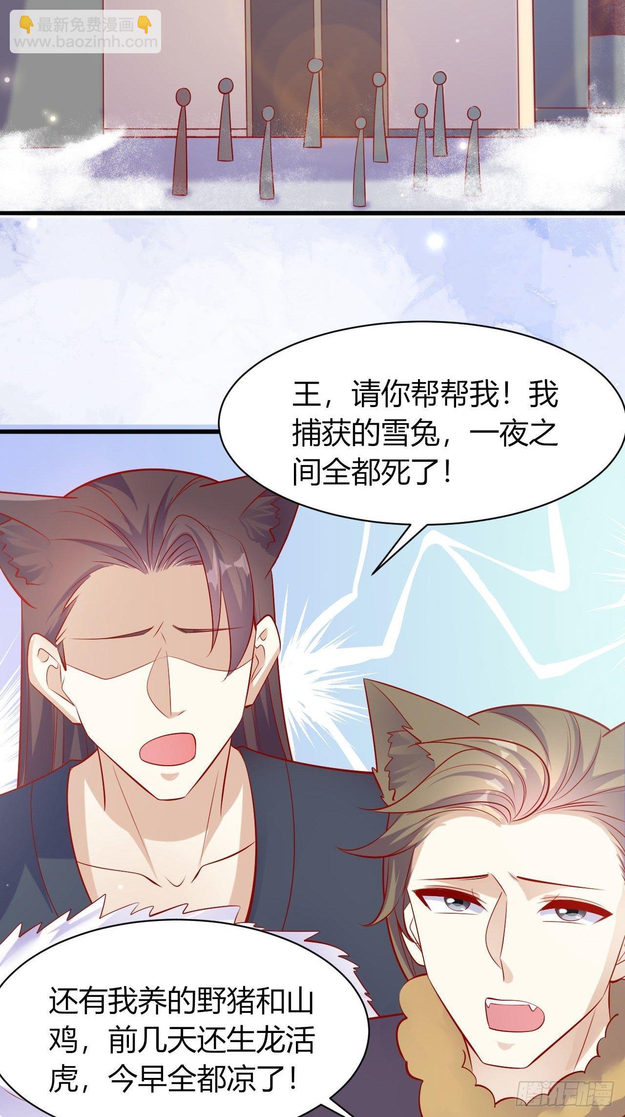 37 雪崩来临-第39话