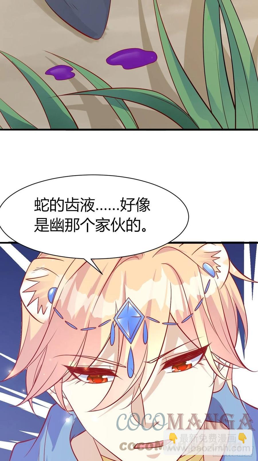 41 凤凰涅槃-第43话