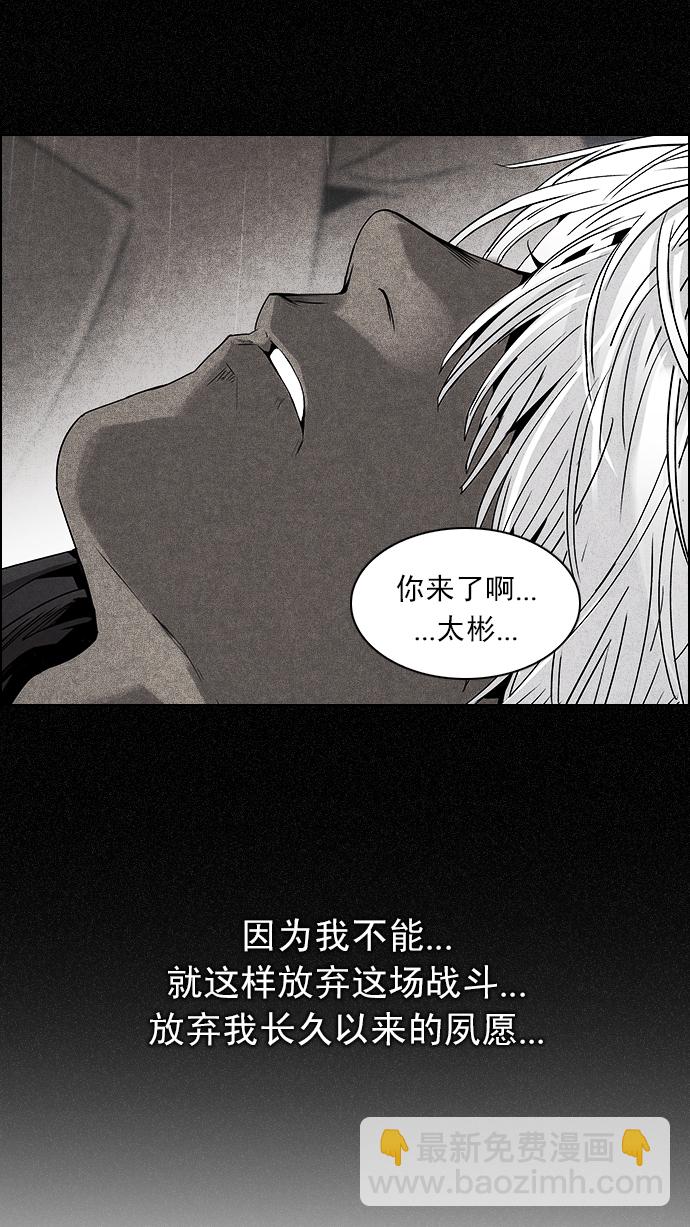 🍼DICE-骰子 [第218话] Winner Takes It All（8） 第37页