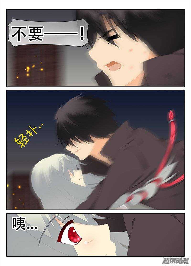 🍼碟仙 红斑 第1页