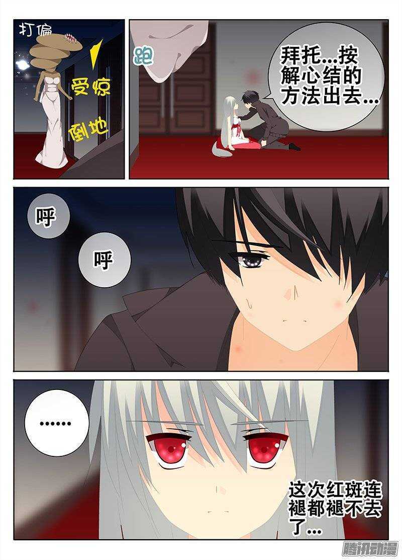 🍼碟仙 红斑 第2页