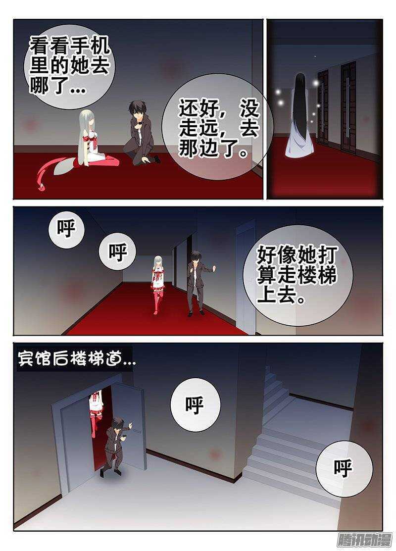 🍼碟仙 红斑 第3页