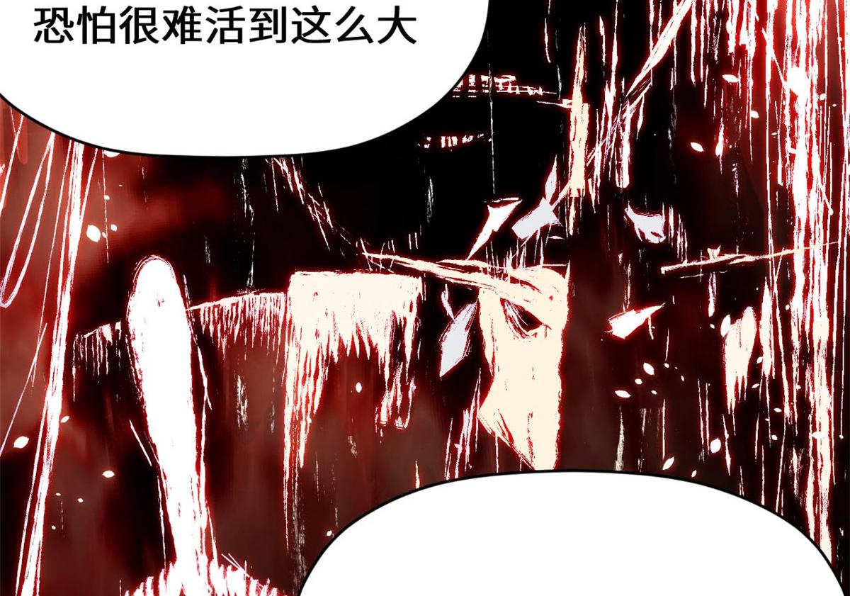 261 厉遥的机缘(1/5)-第265话