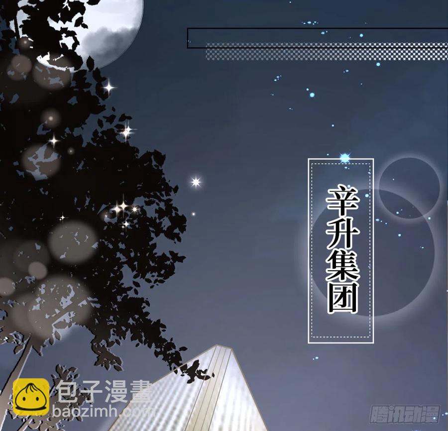 29 辛升集团要垮了？(1/2)-第31话