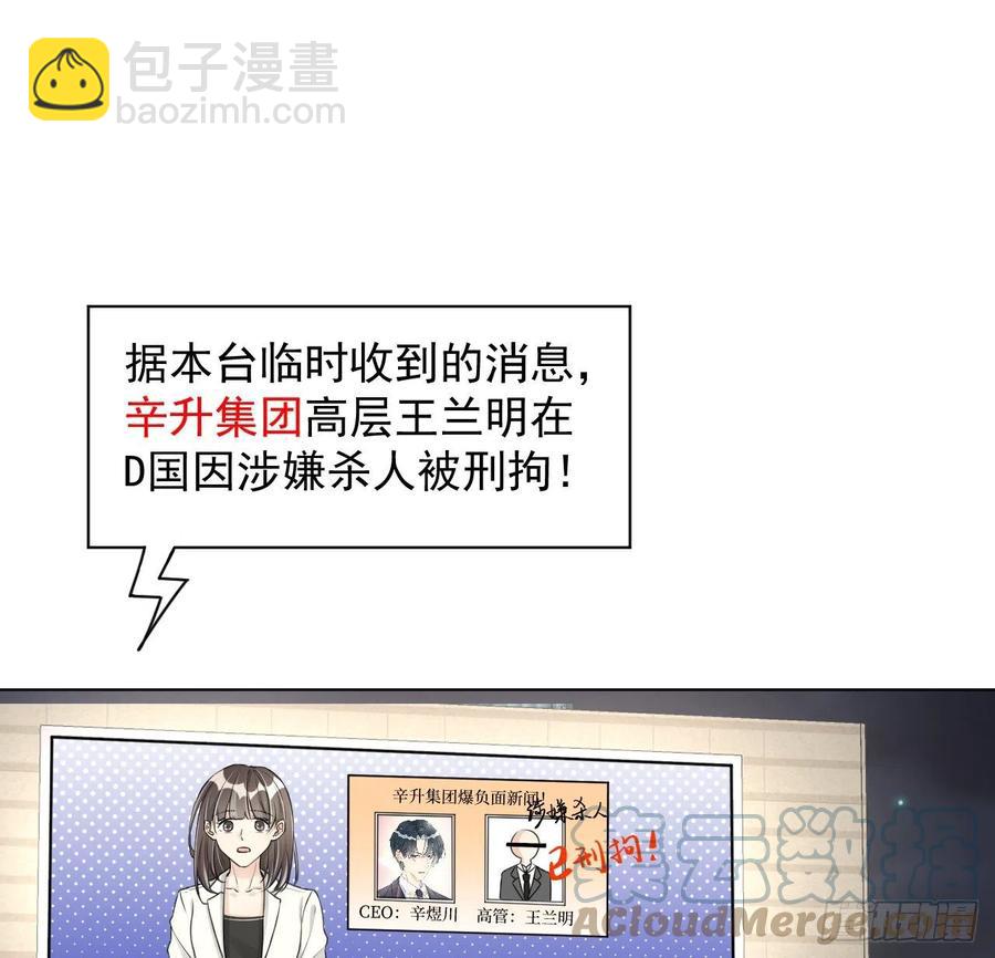 29 辛升集团要垮了？(1/2)-第31话