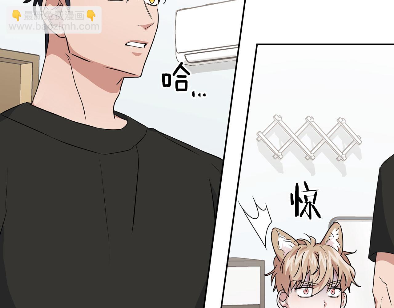 第19话 猴子入侵？！(1/3)-第19话