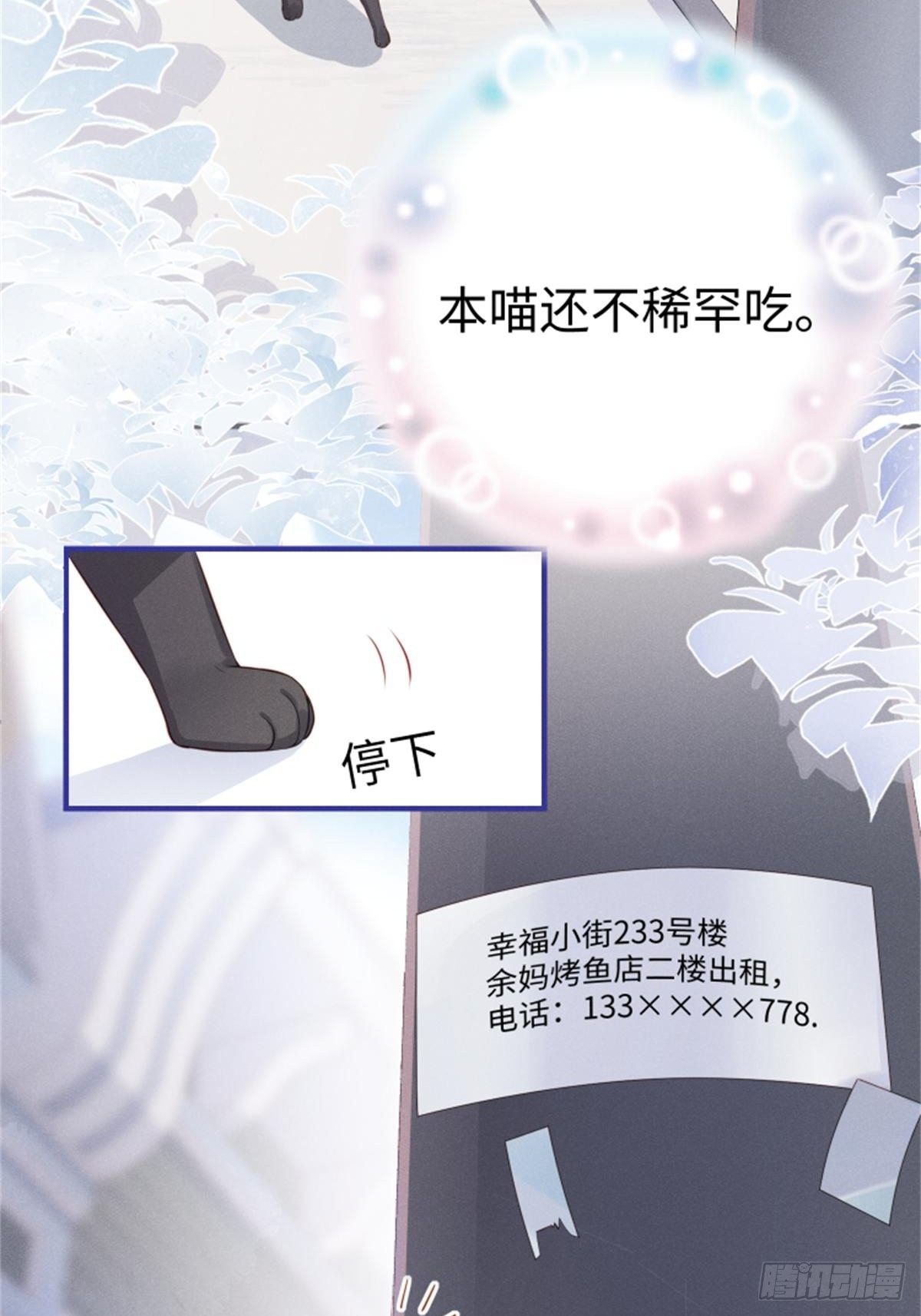 喵夫子有言：曲线救国-第3话