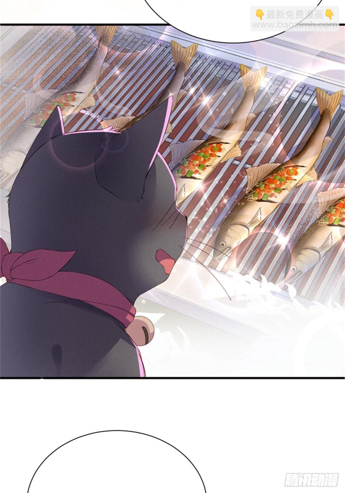 喵夫子有言：曲线救国-第3话