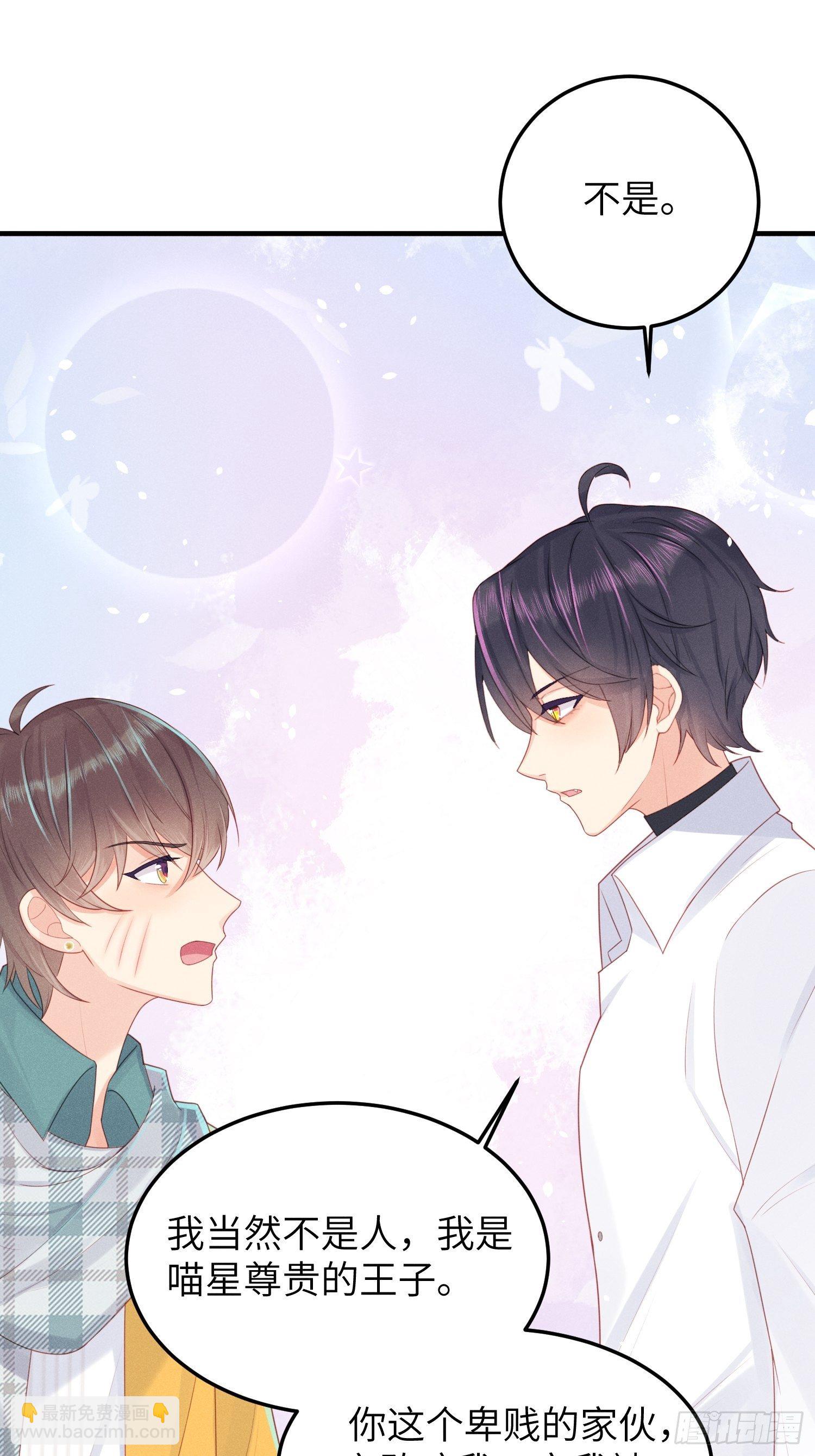做绝育了么？(1/2)-第21话