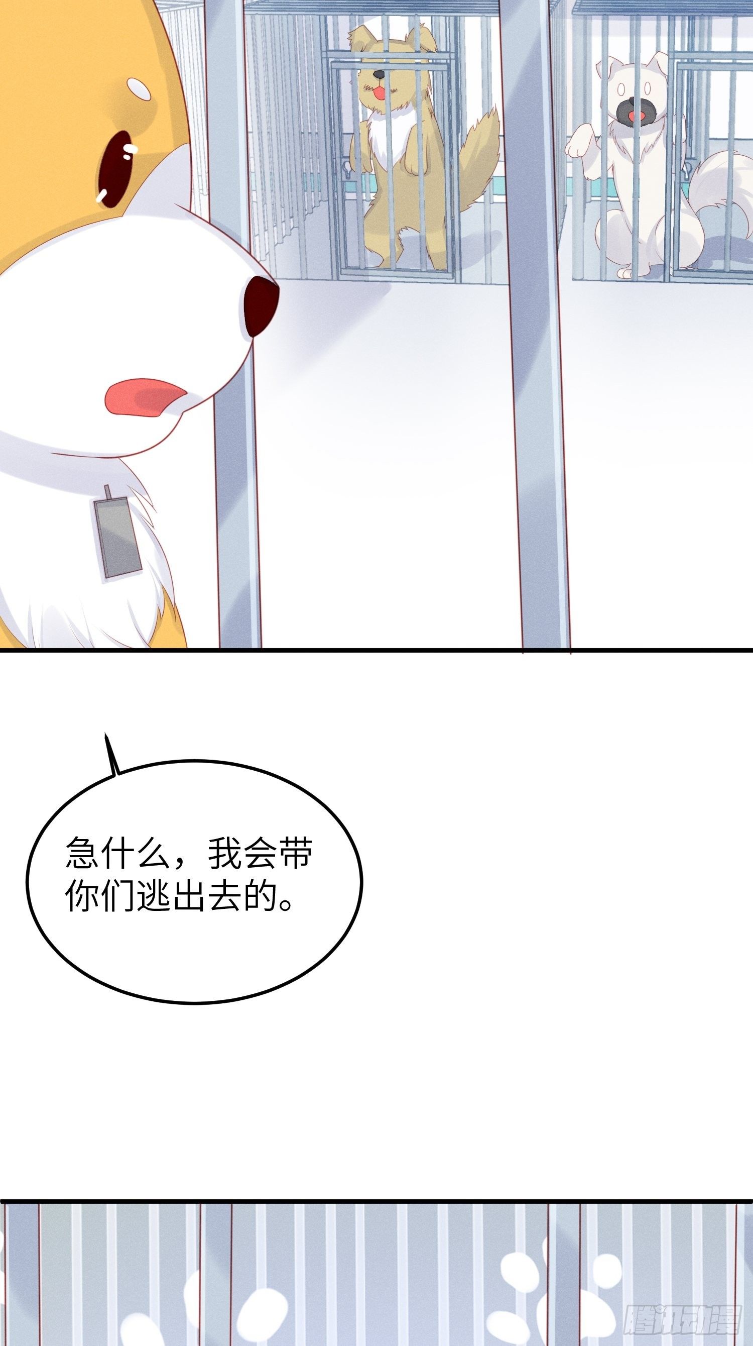 人间的十二年(1/2)-第23话