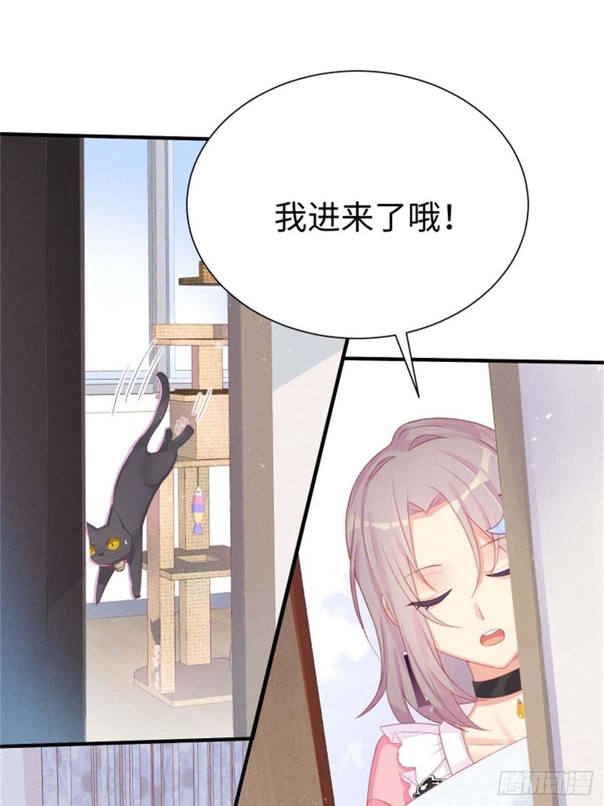 愚蠢的人类在对本喵做什么？！(1/2)-第5话