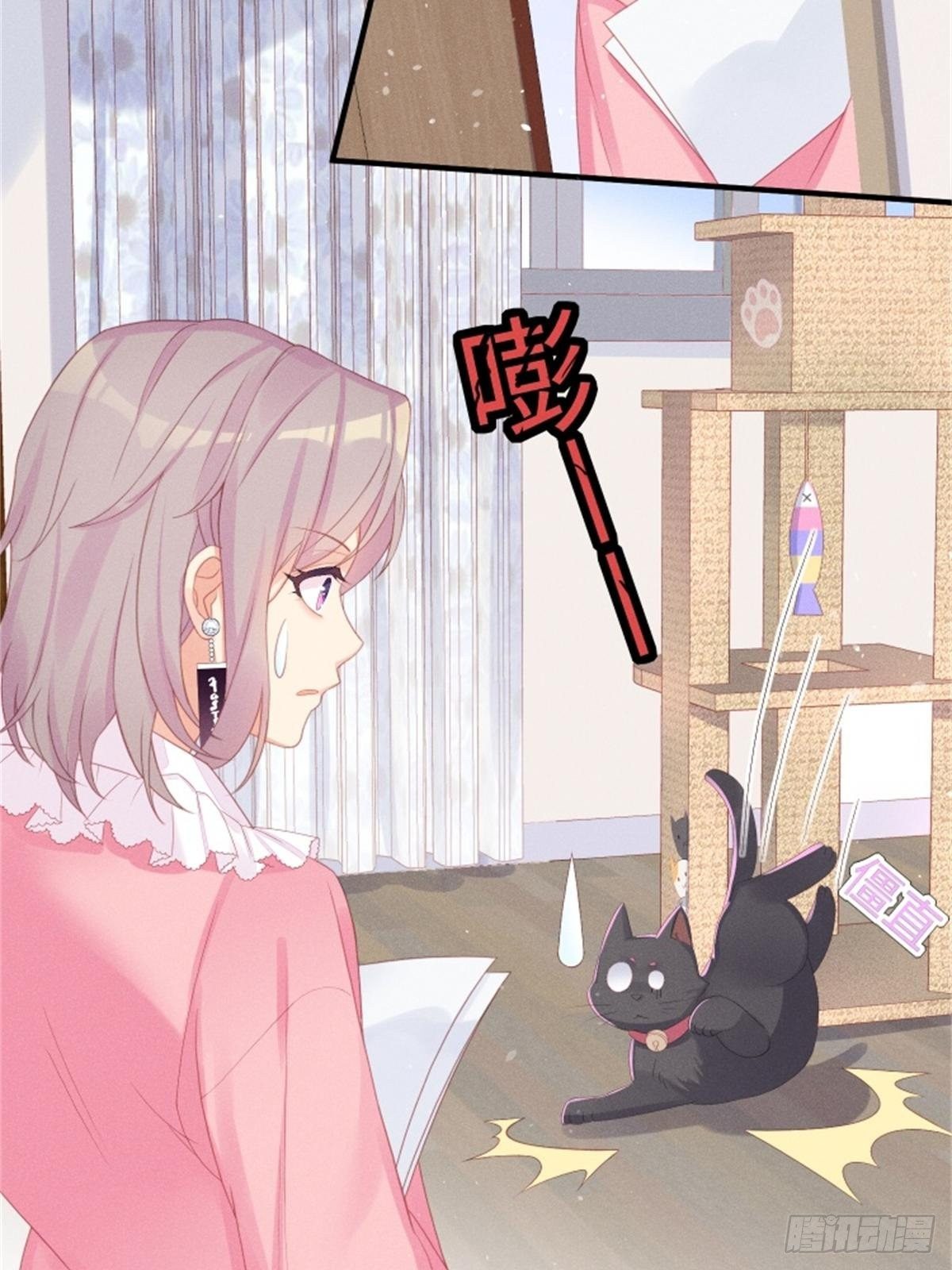 愚蠢的人类在对本喵做什么？！(1/2)-第5话