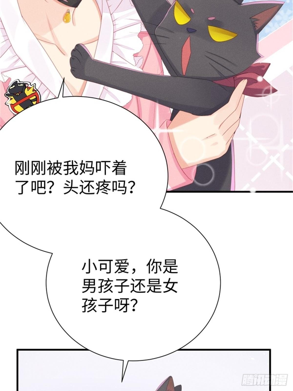愚蠢的人类在对本喵做什么？！(1/2)-第5话