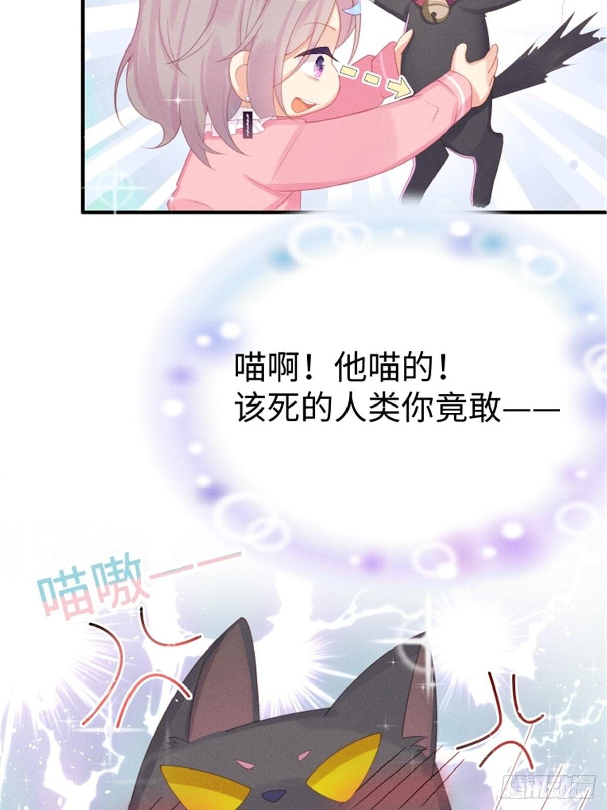 愚蠢的人类在对本喵做什么？！(1/2)-第5话