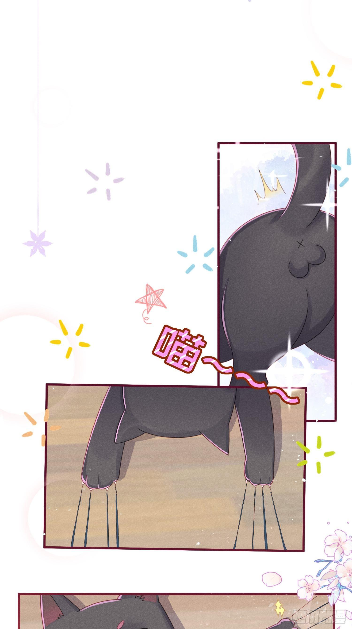 愚蠢的人类在对本喵做什么？！(1/2)-第5话