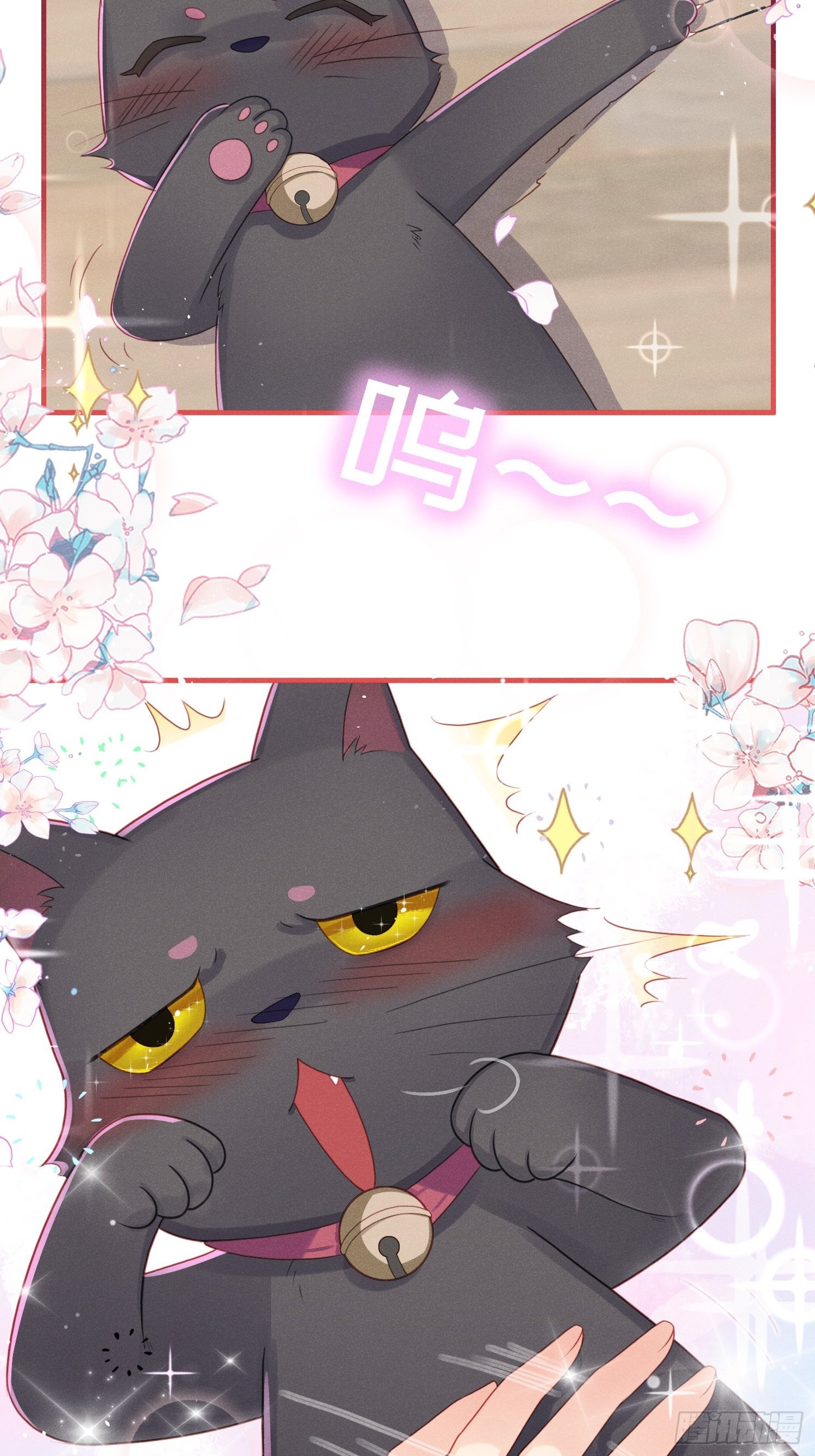 愚蠢的人类在对本喵做什么？！(1/2)-第5话