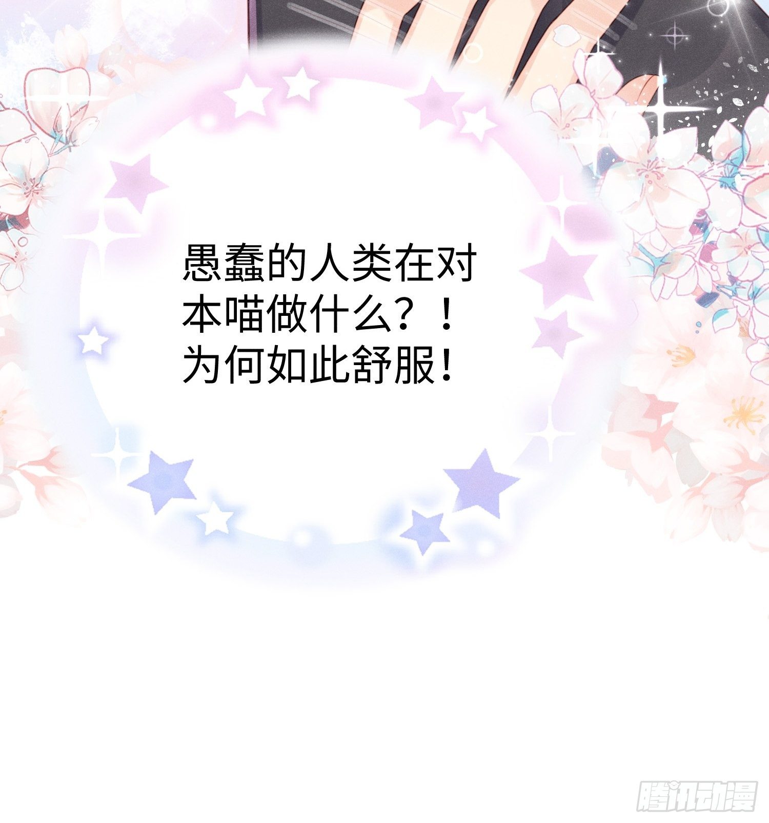 愚蠢的人类在对本喵做什么？！(1/2)-第5话