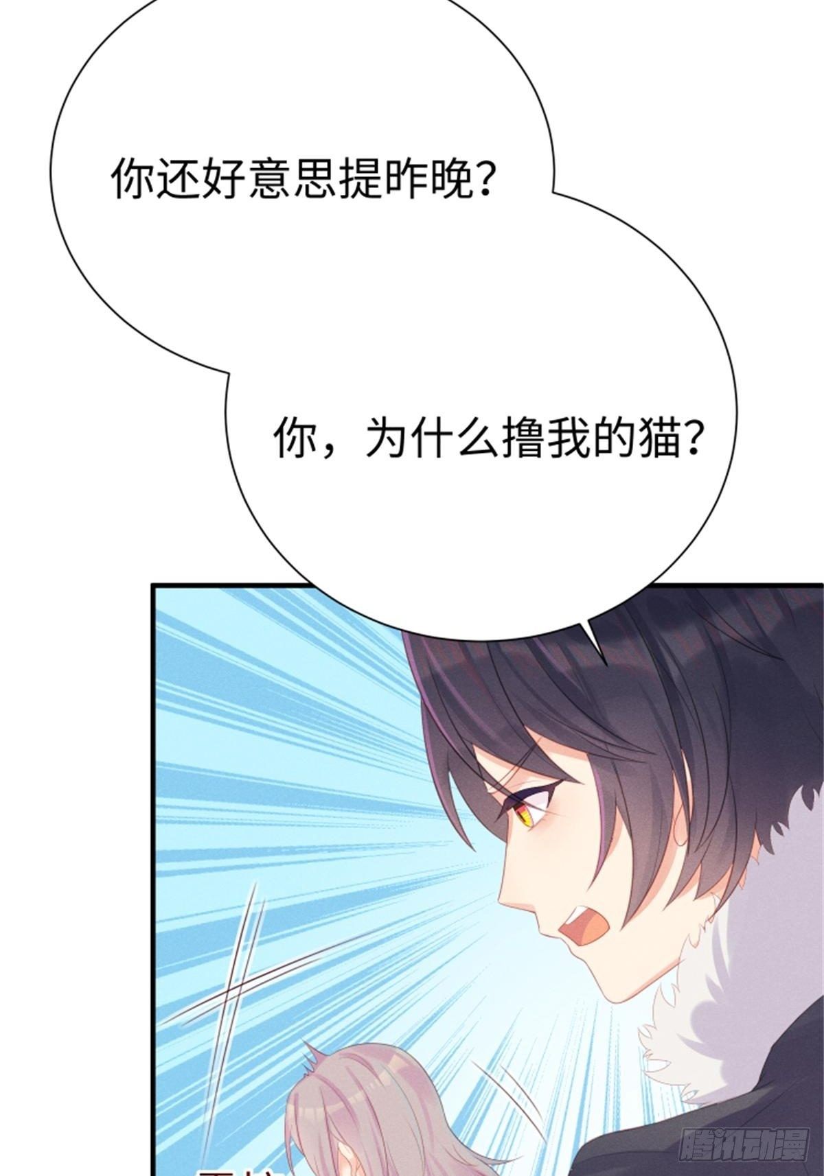 愚蠢的人类在对本喵做什么？！(1/2)-第5话