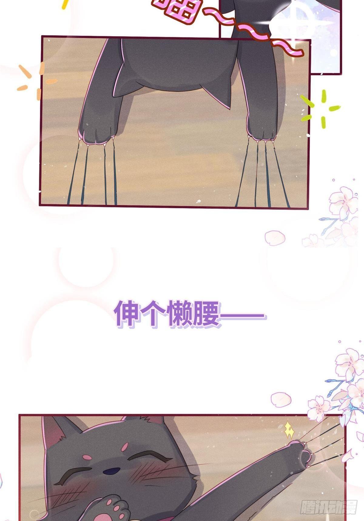 愚蠢的人类在对本喵做什么？！(1/2)-第5话