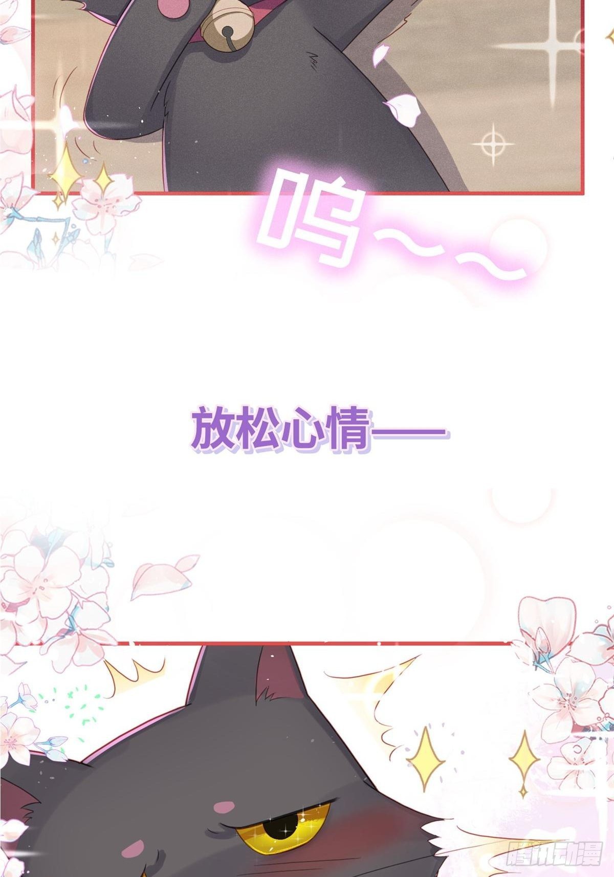 愚蠢的人类在对本喵做什么？！(1/2)-第5话