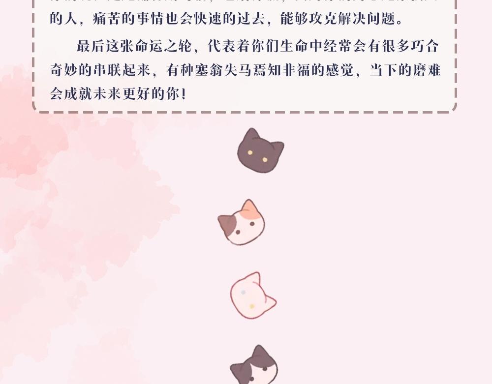 第7期 盐粒夫妇塔罗测试（日更中）-第41话
