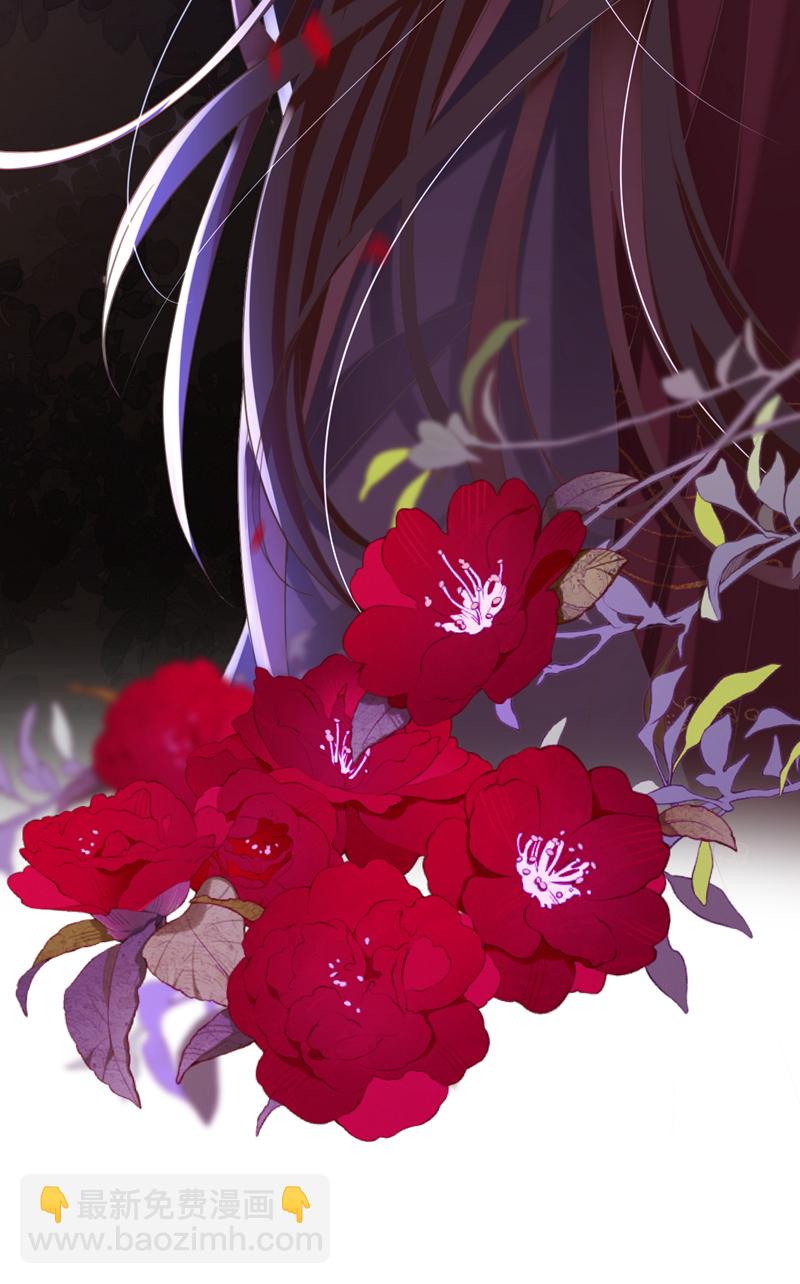 第34话 这珊瑚从哪来？-第35话