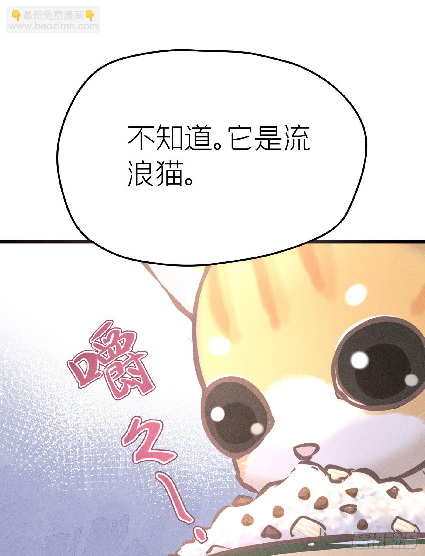 第二十八回 流浪儿（十二）(1/2)-第29话