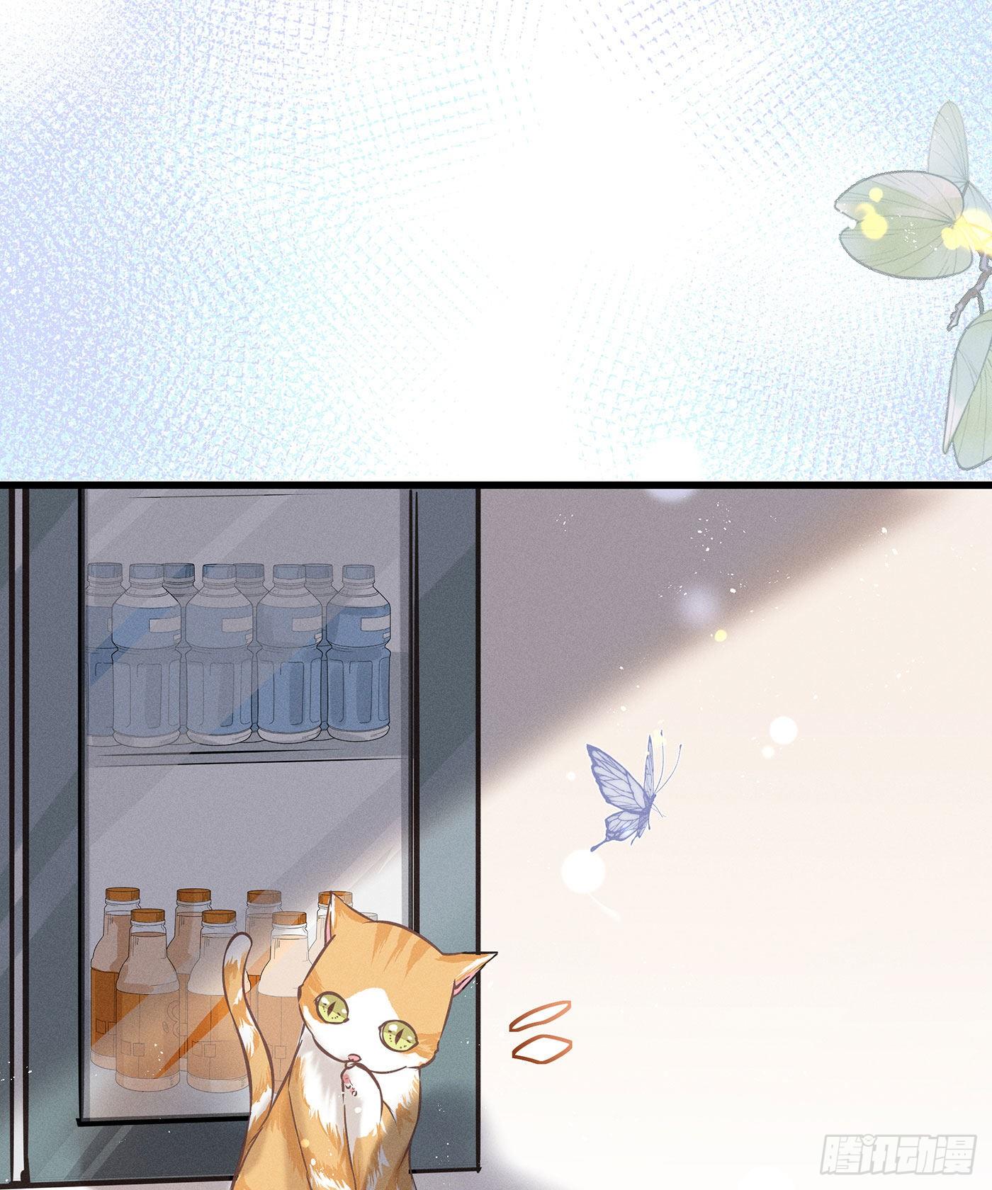 第三十四回 流浪儿（十八）(1/2)-第37话