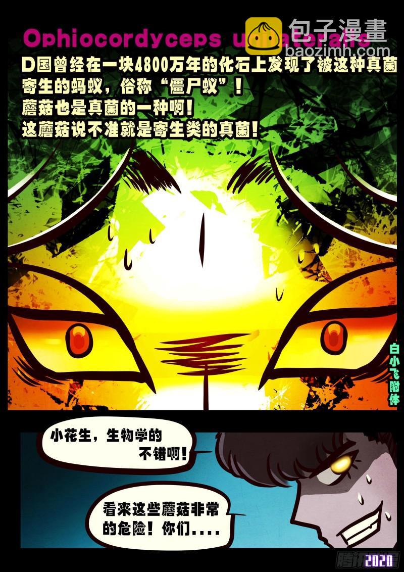 第029集-第29话