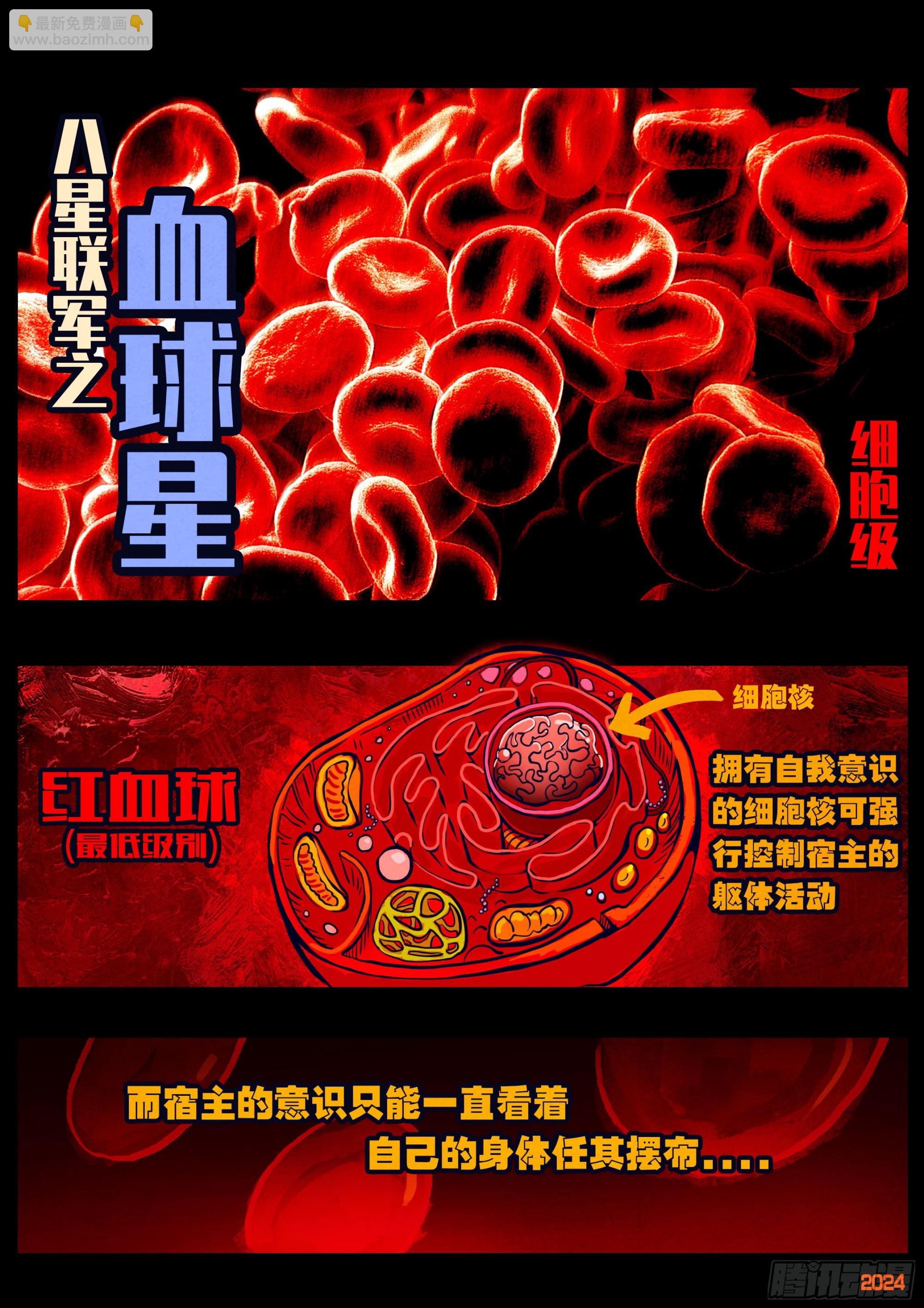 第354集-第365话