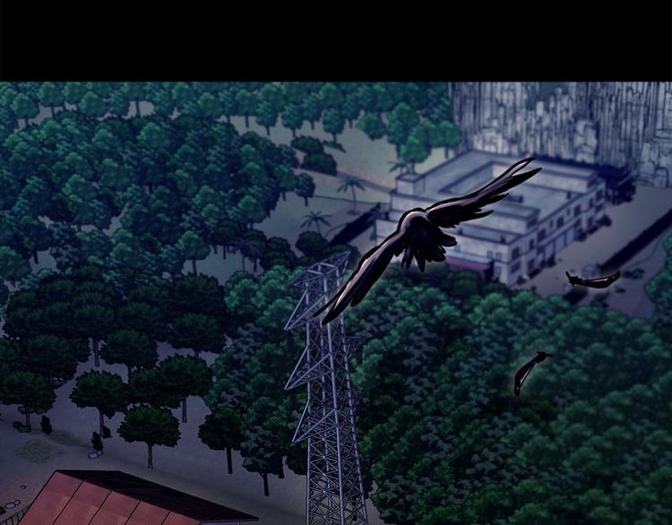 第十一话 小小的牺牲(1/3)-第11话