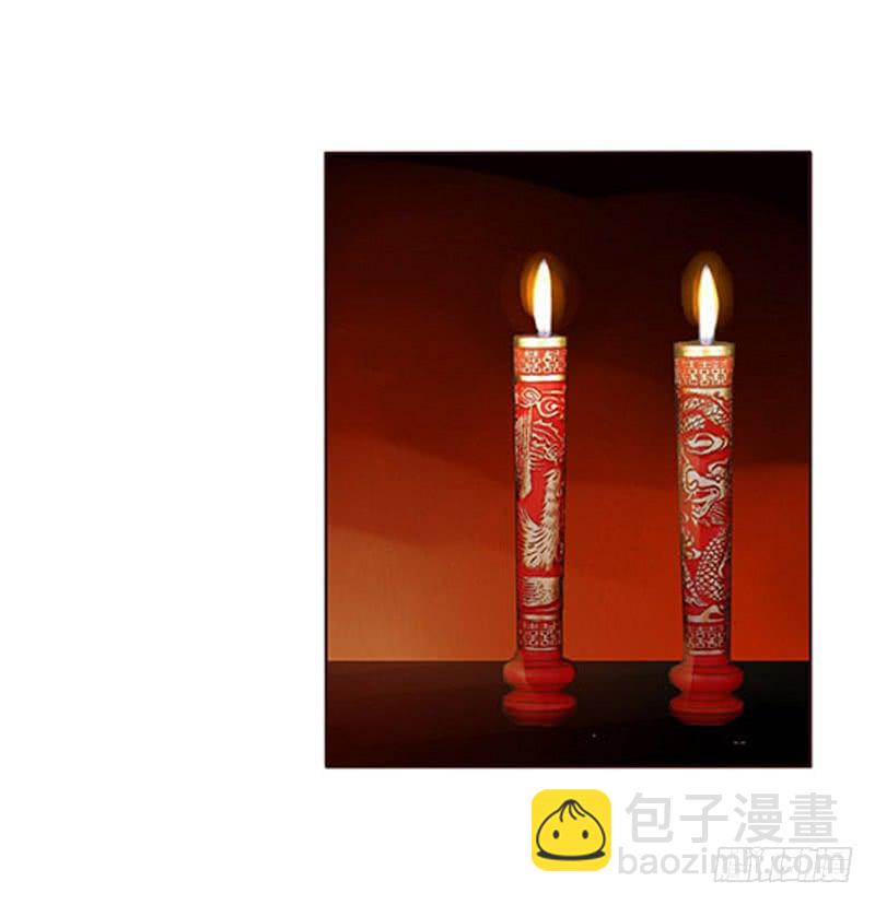 一三三章 直接洞房吧1(1/2)-第137话