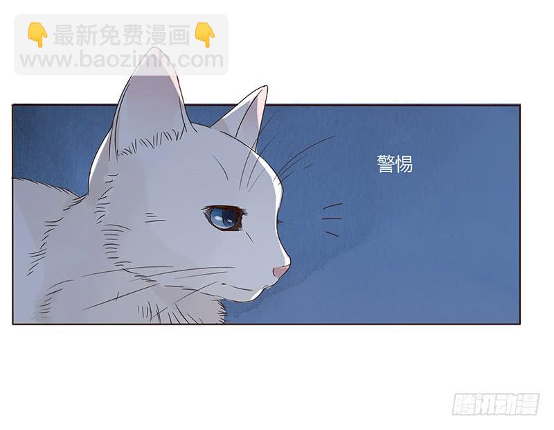 一五二章 冥琪的秘密(1/2)-第157话
