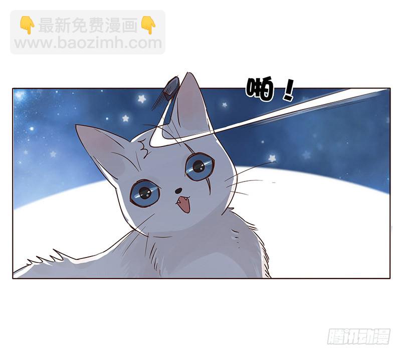 一五二章 冥琪的秘密(1/2)-第157话