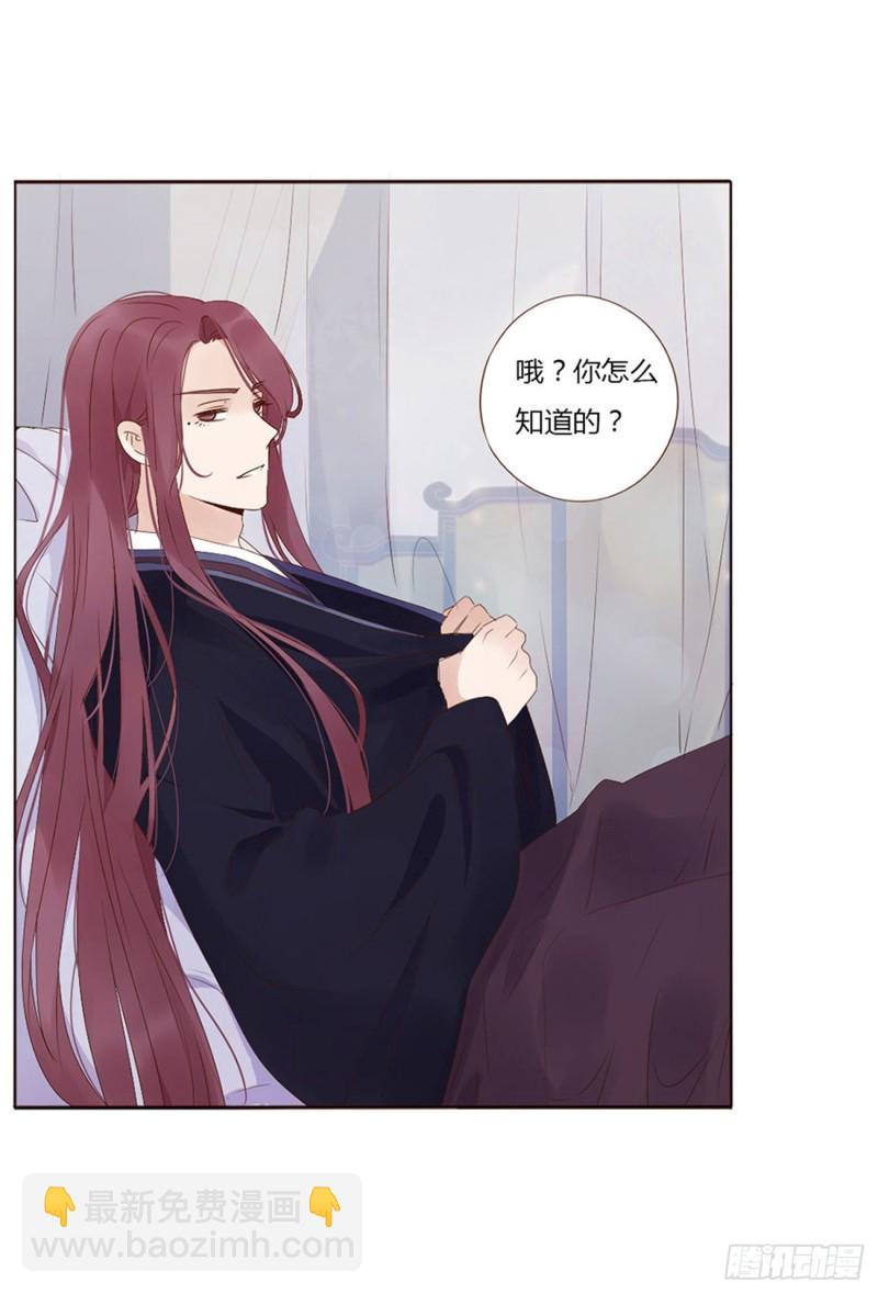 二三八章 &ldquo;放虎归山&rdquo;(1/2)-第259话